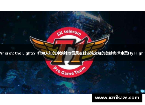 创历史之路！未来之星的新篮球篮色Where's the Lights？鲜为人知的冲浪胜地雷尼亚科亚湾交融的美妙海洋生灵Fly High with the Wind-玩转极限滑翔伞风景